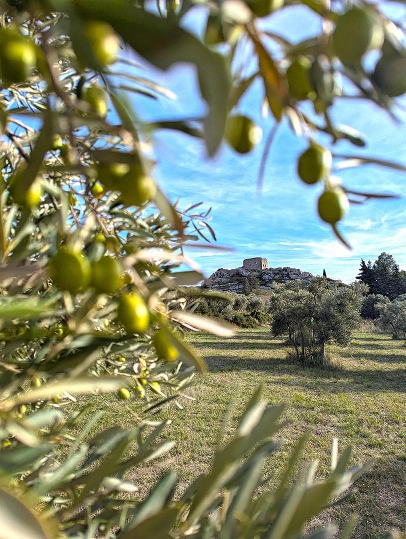 Le Panorama des Alpilles (12p.)