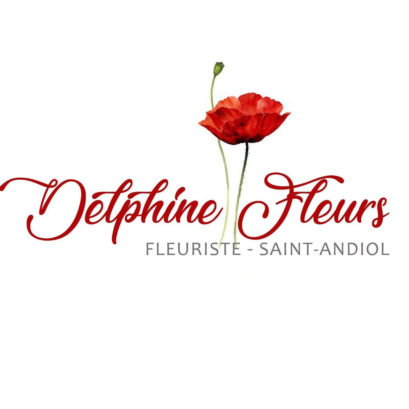 Delphine Fleurs_Saint-Andiol