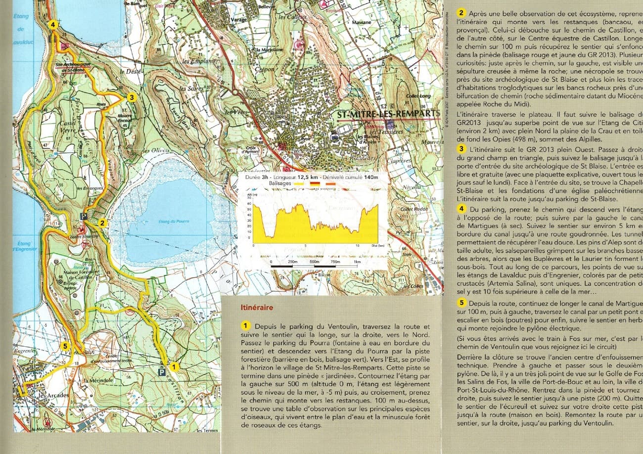 Forêt de Castillon