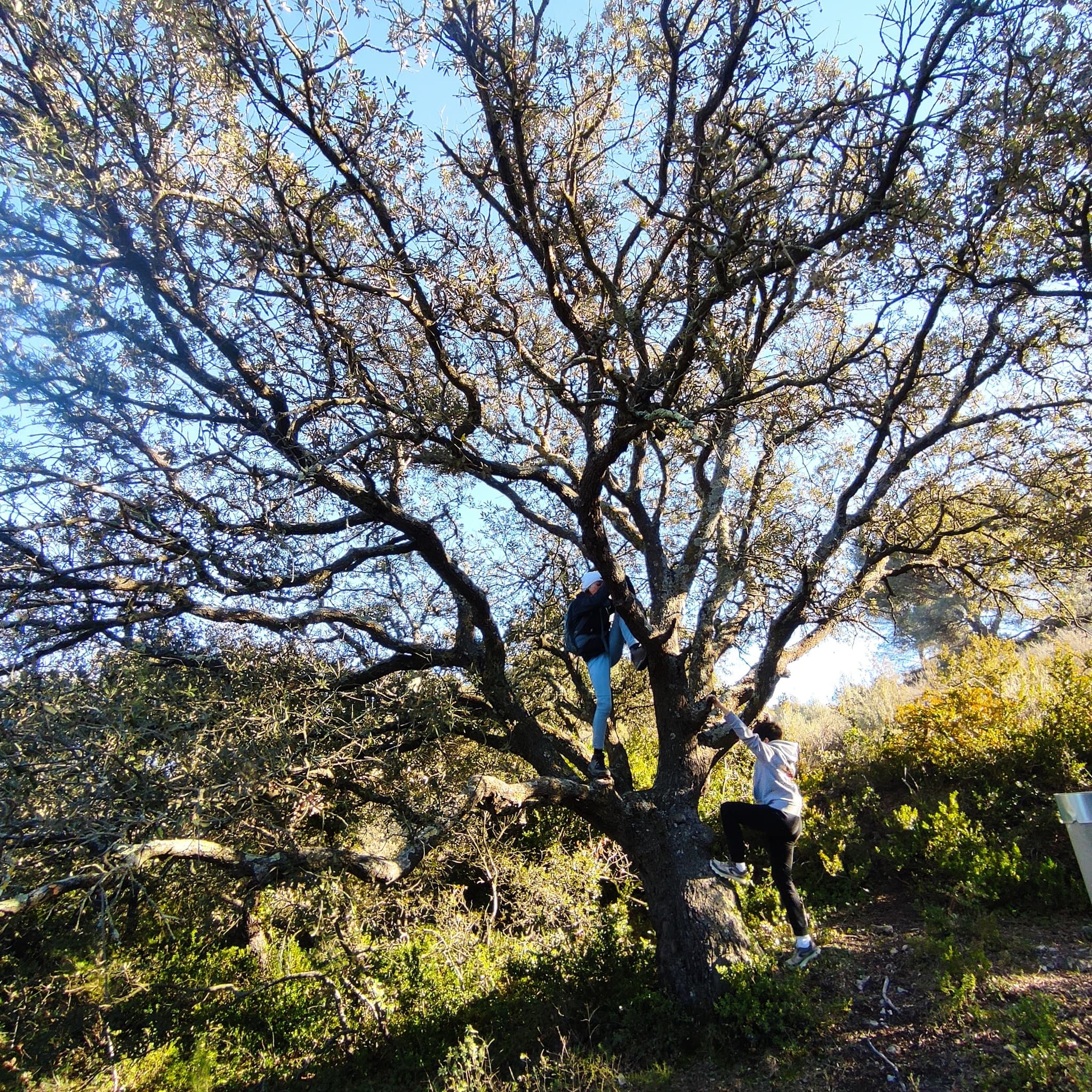 Randonner la Provence