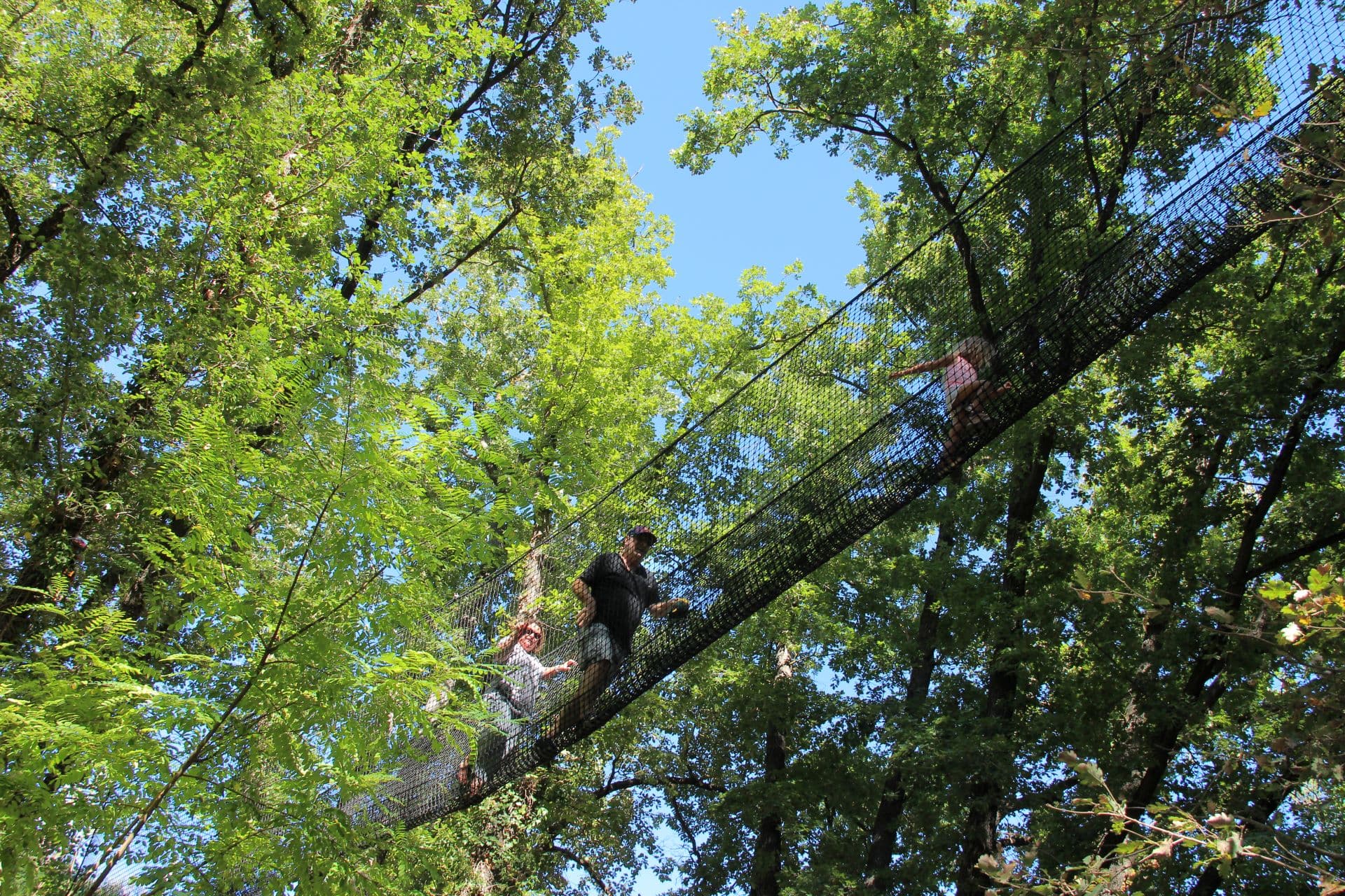Le bois des lutins