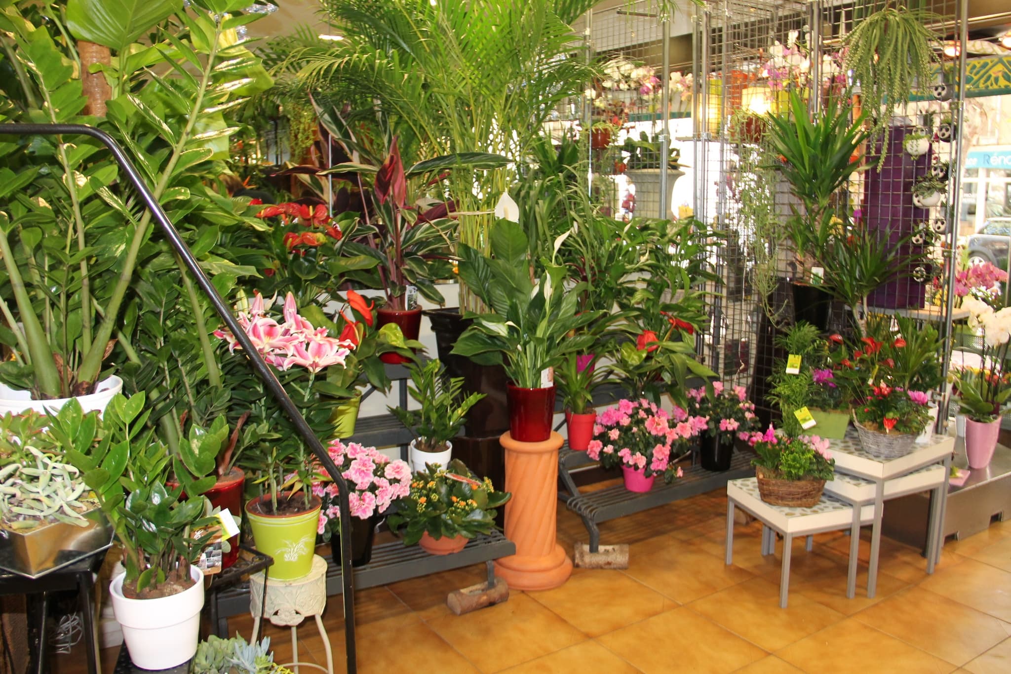 Vovo Fleurs