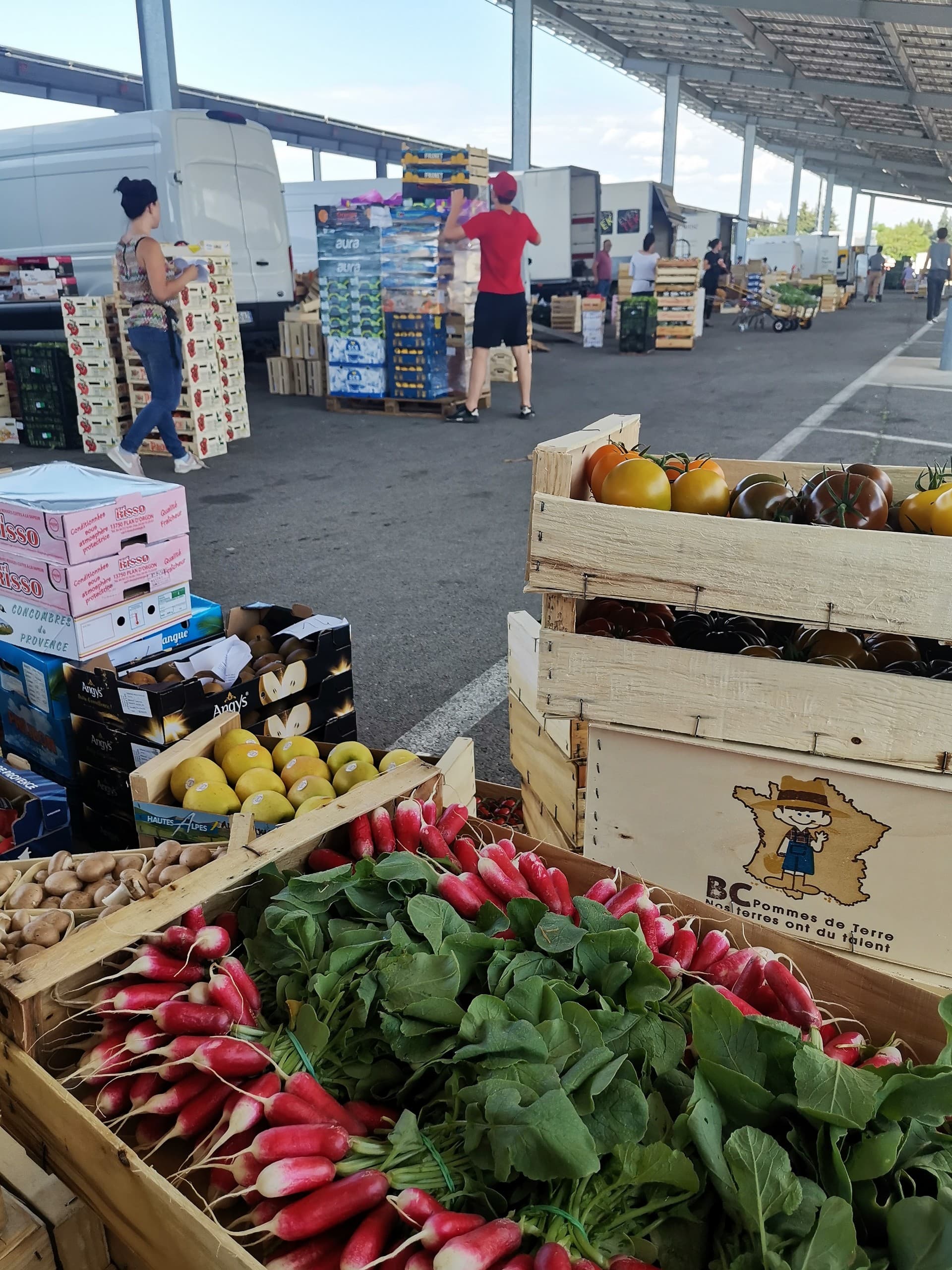 Marché Fruits & Légumes au Gros St Etienne du Grès