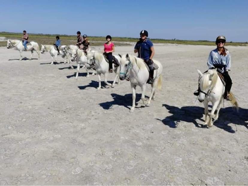 Saint Georges Centre de Tourisme Equestre