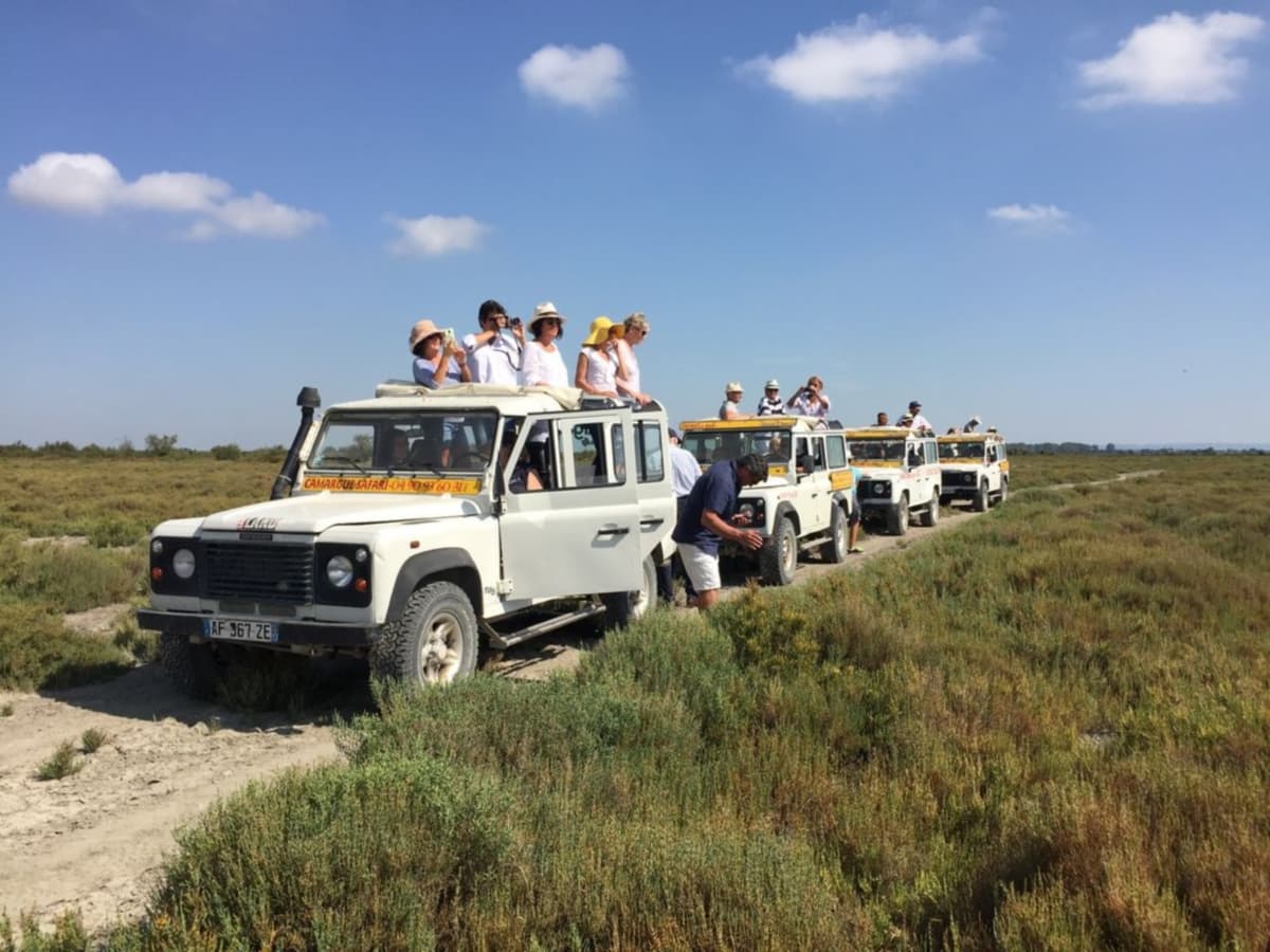 Camargue Alpille Safari