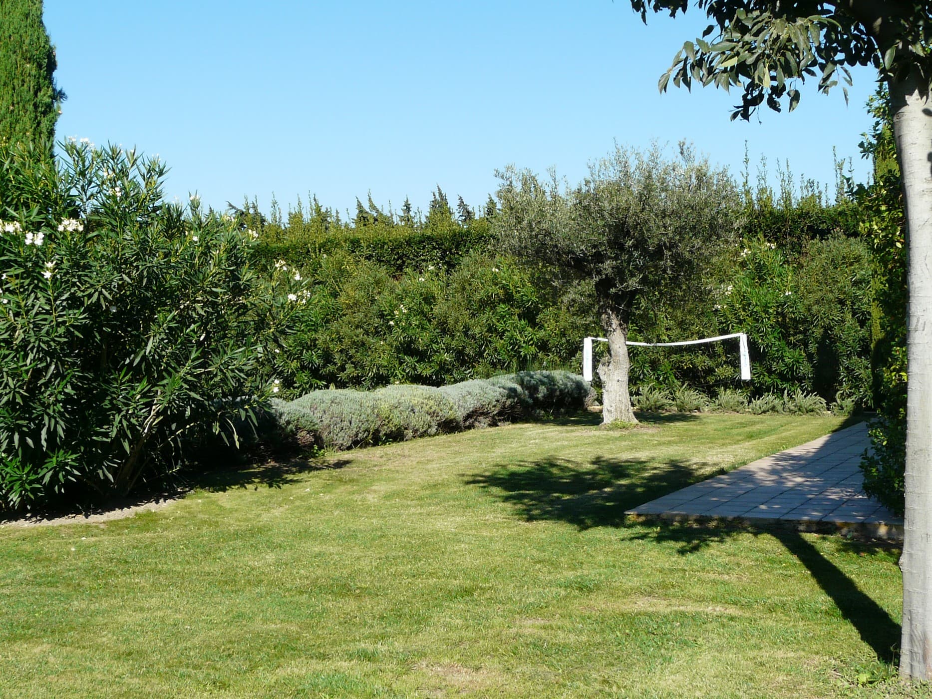 Baguie Roso - jardin