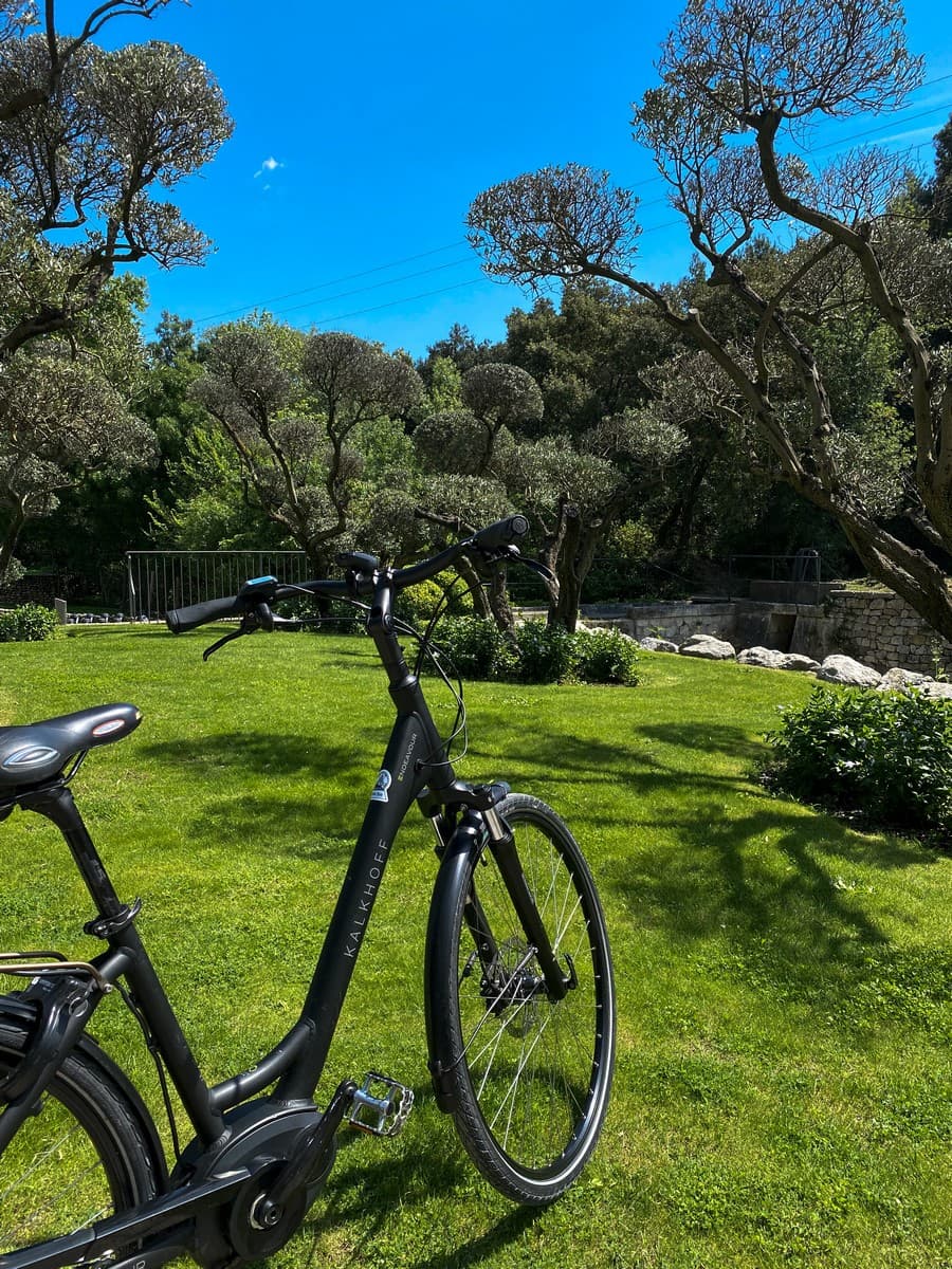 Delta Ride MTB