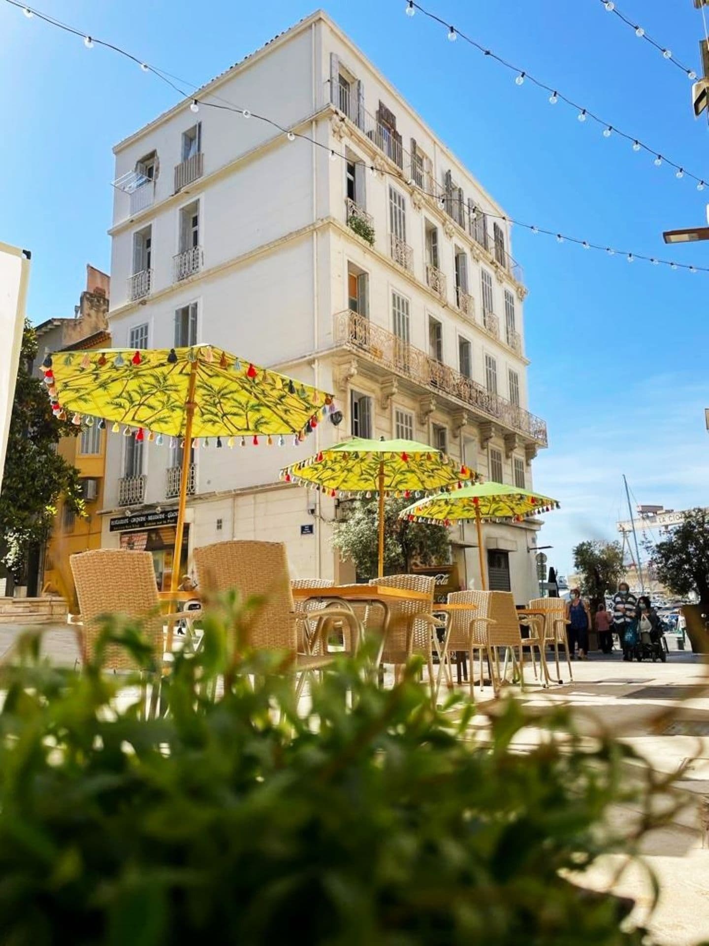 Alpaga Café