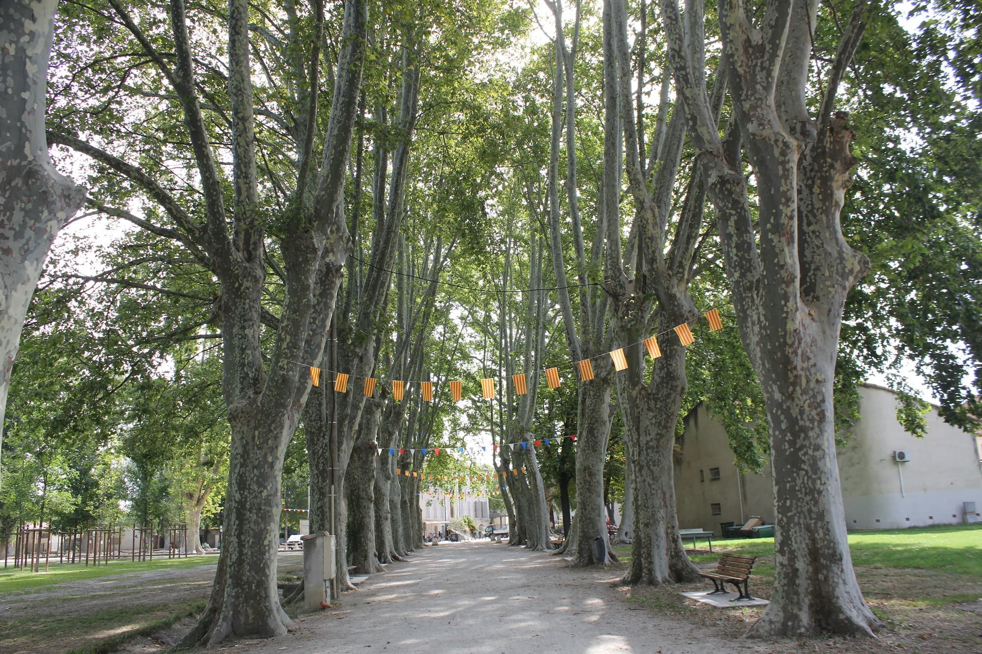 Parc du château