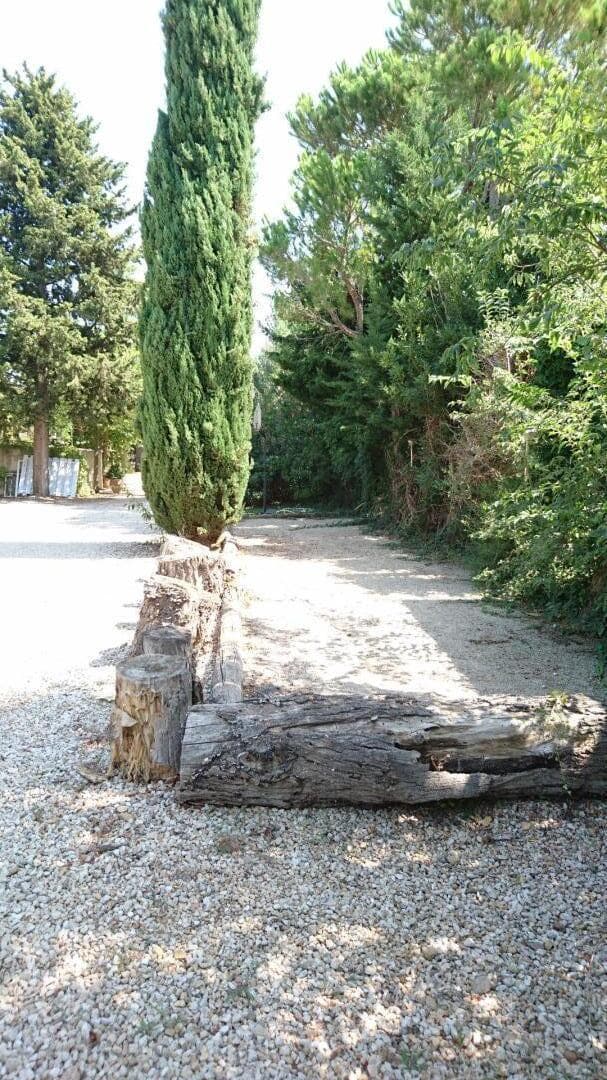Maistro