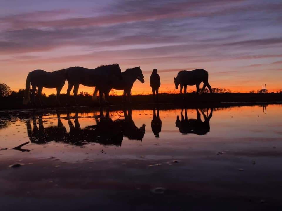 Saint Georges Centre de Tourisme Equestre
