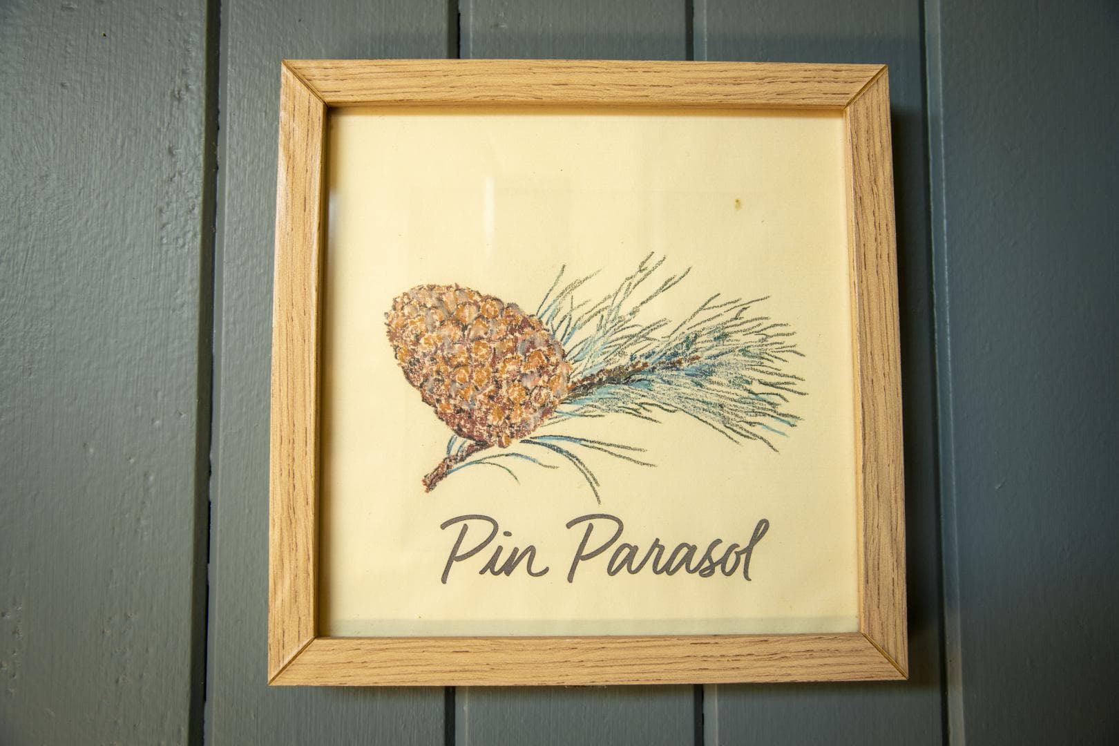 Pin Parasol