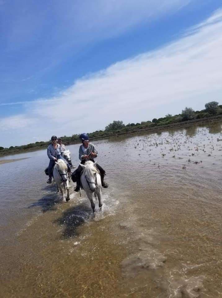Saint Georges Centre de Tourisme Equestre