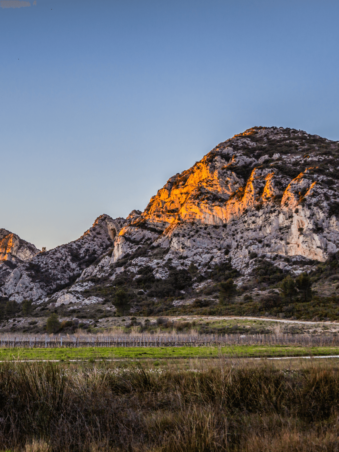 Les crêtes de Saint-Rémy-de-Provence_Saint-Rémy-de-Provence