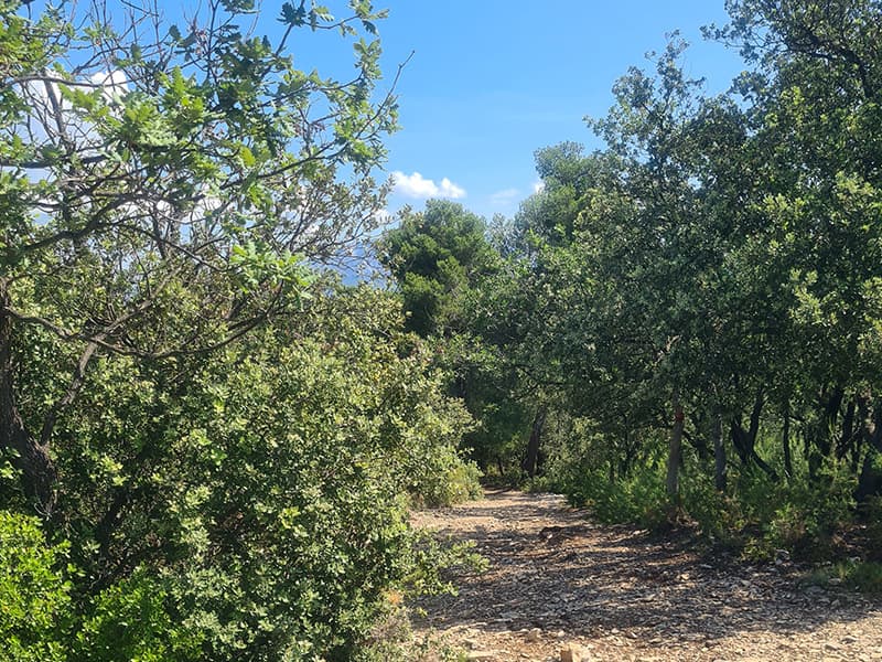 Circuit des Crêtes_Gardanne