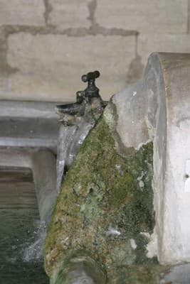 13T2001308_3_WEB.jpg