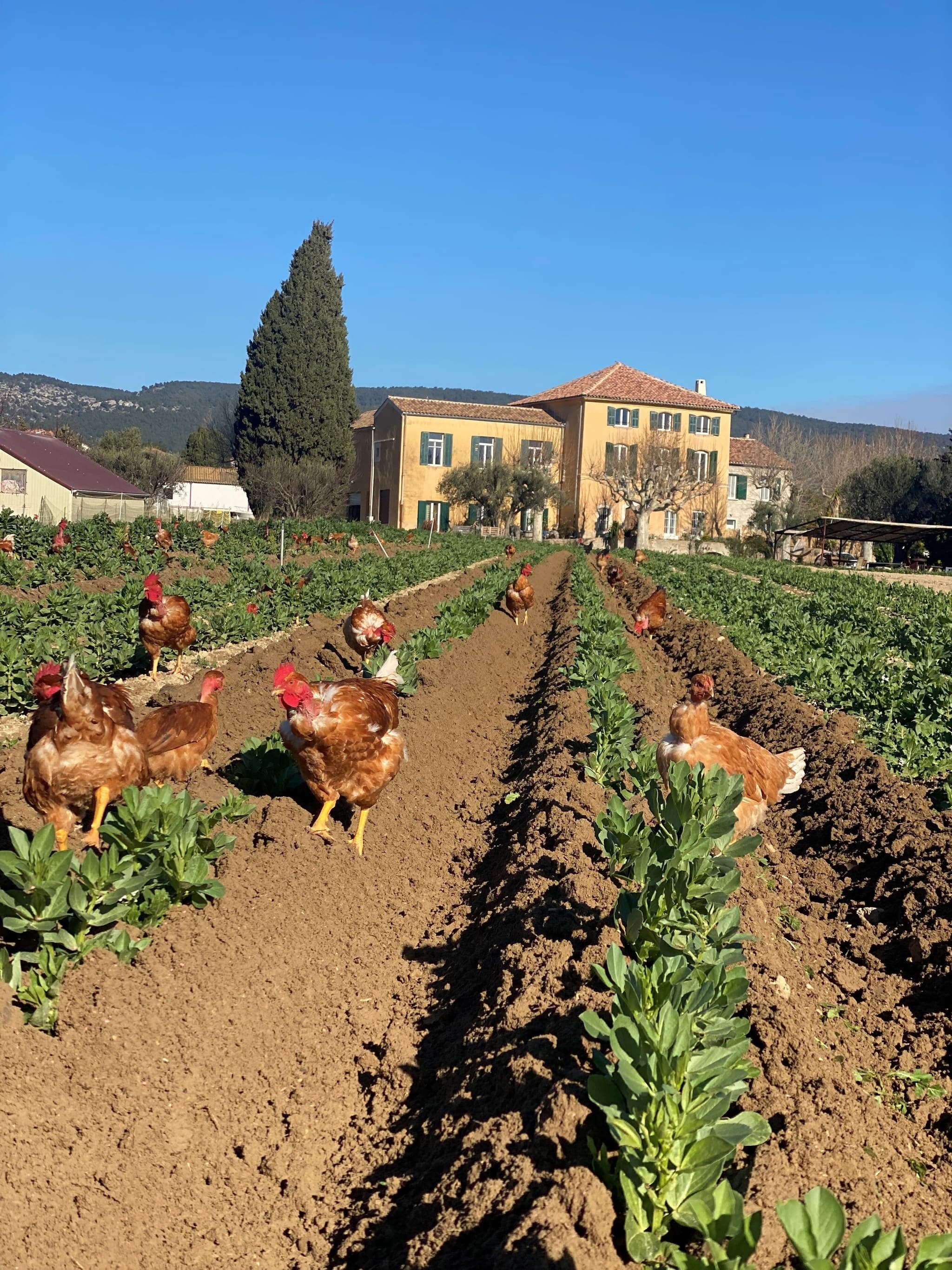 Ferme Auvrai