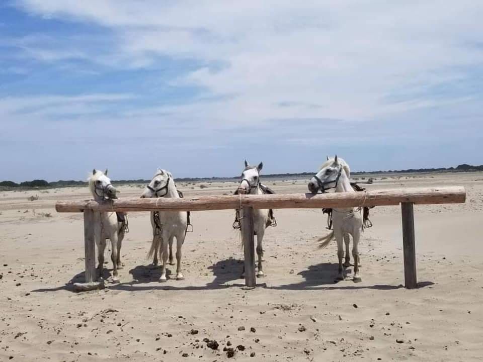 Saint Georges Centre de Tourisme Equestre