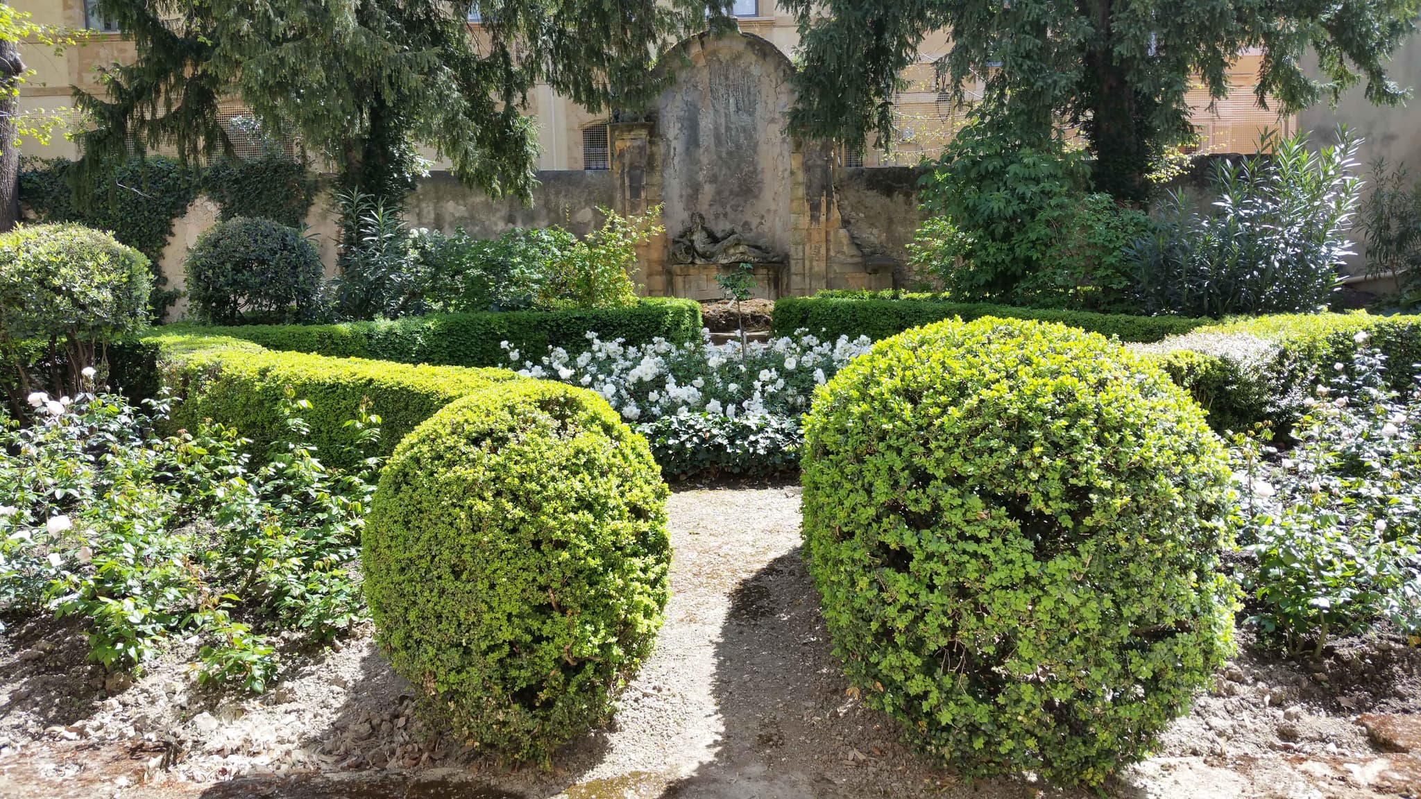 nymphée