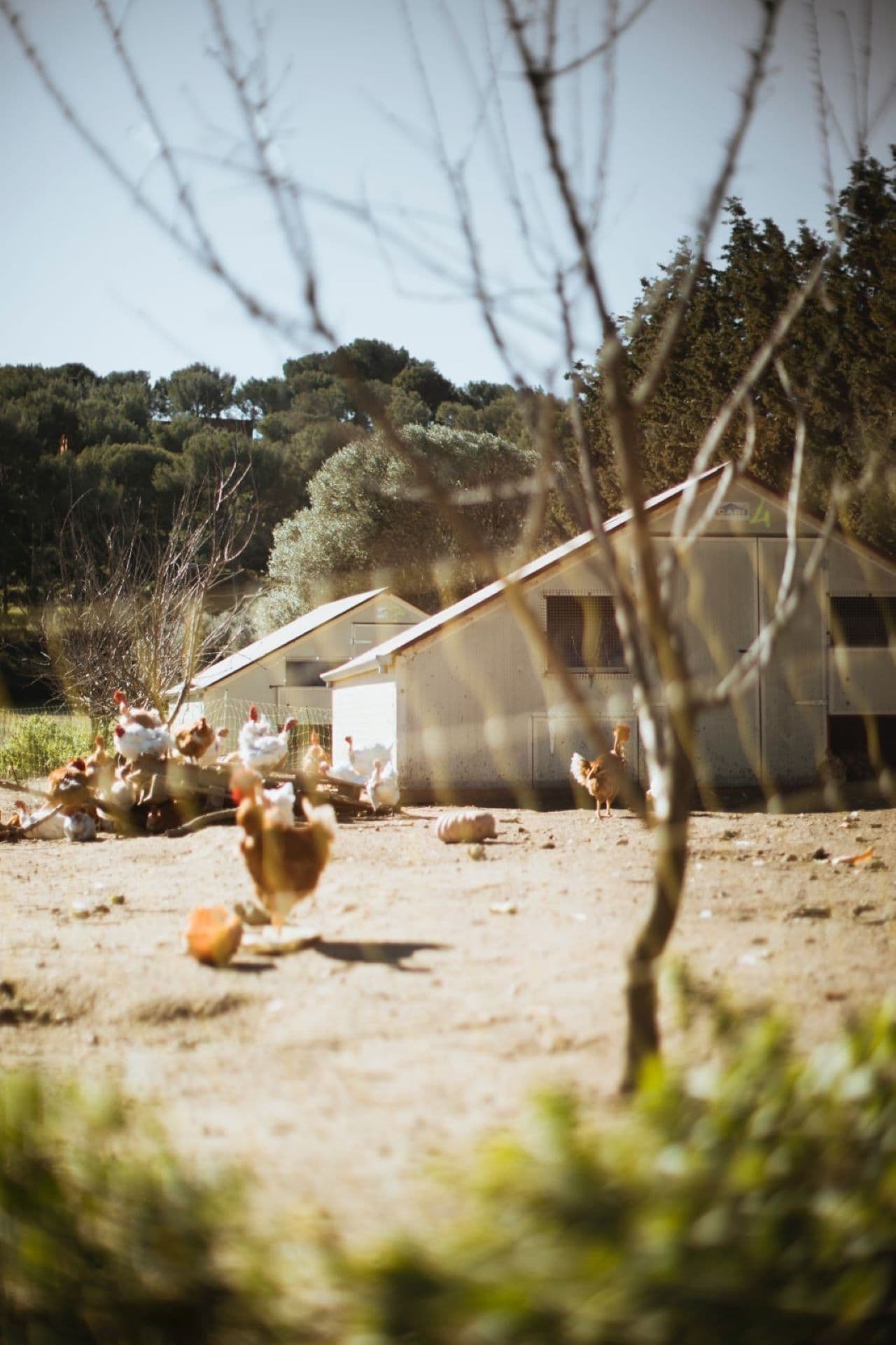 Ferme Auvrai