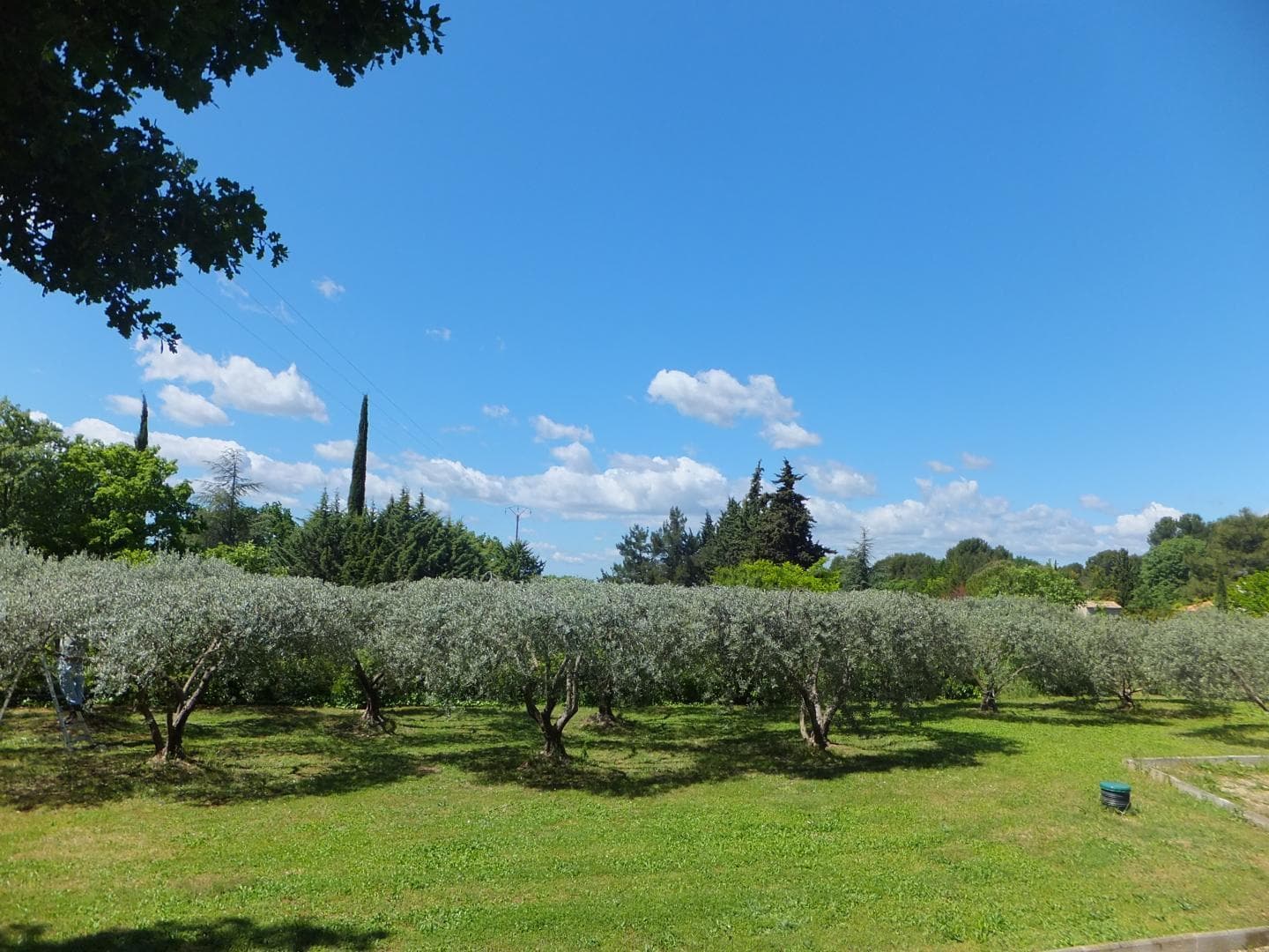 Le Clos Des Oliviers et la Tour
