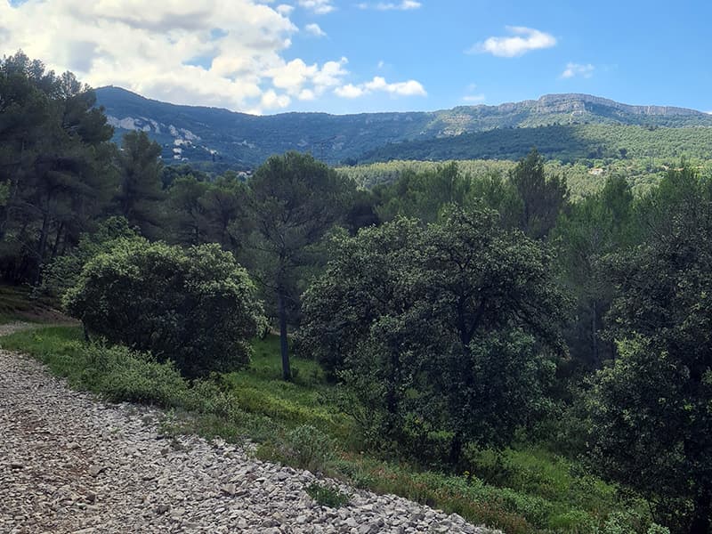 Circuit des Crêtes_Gardanne