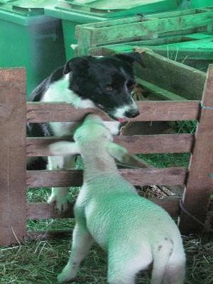 13ART000348_5_WEB.jpg