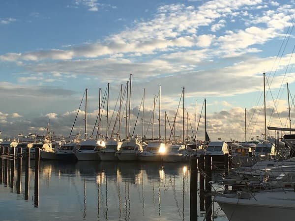 Championnat de France de Pêche sportive au Port Gardian_Saintes-Maries-de-la-Mer