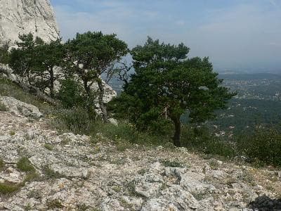 Chaine de l'Etoile
