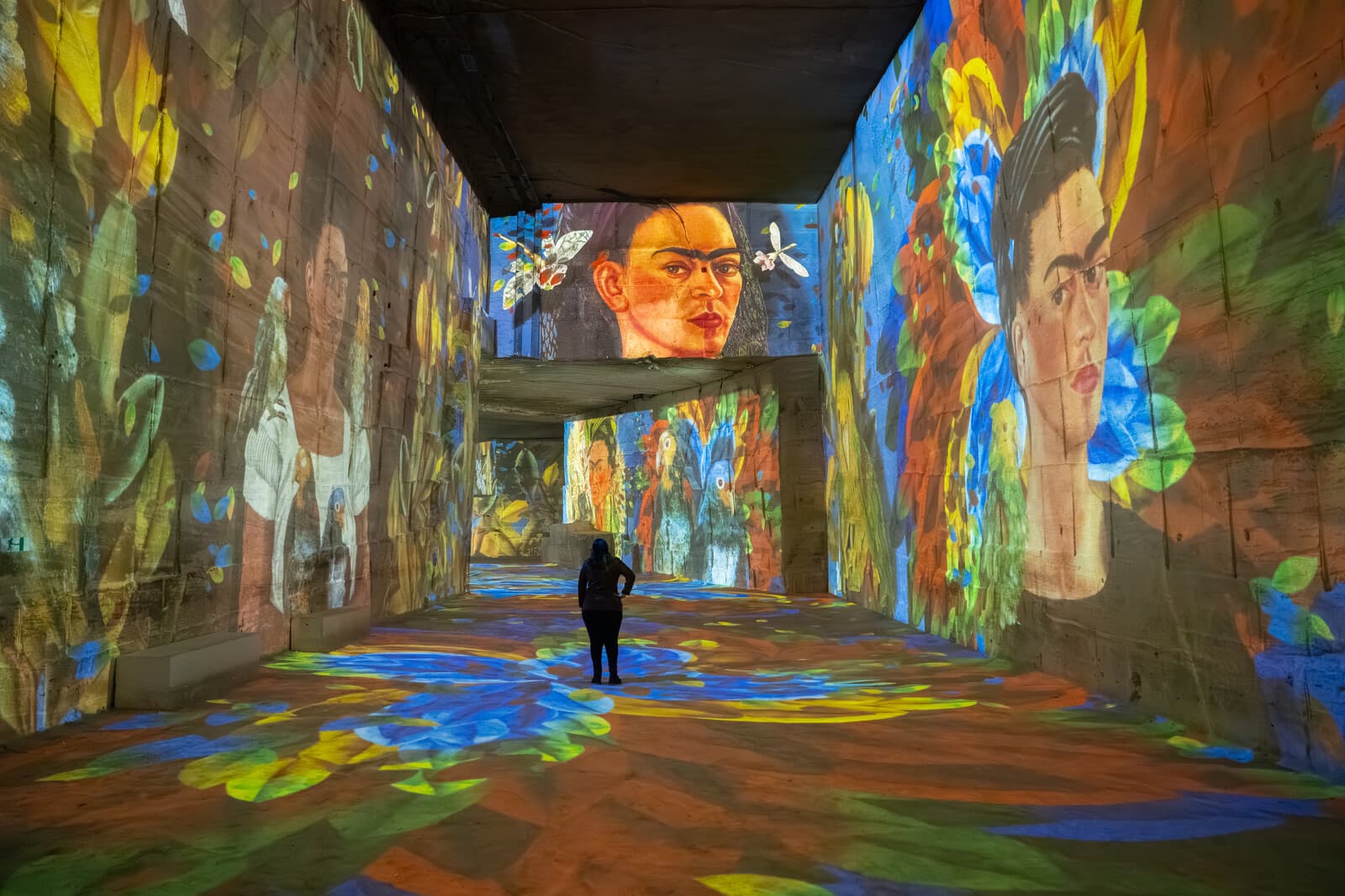 Carrières des Lumières 2026 : Picasso et Frida Kahlo_Les Baux-de-Provence