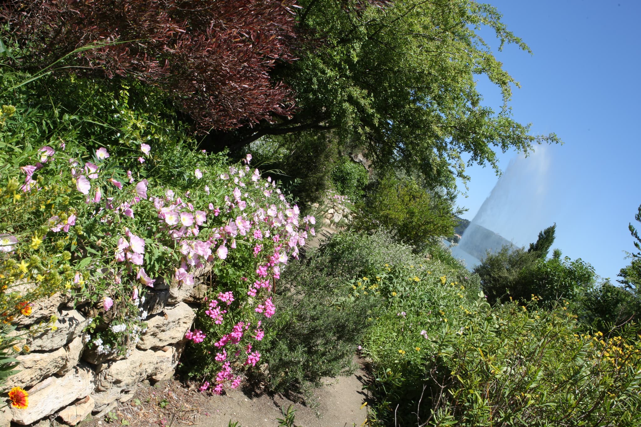 Jardin méditerranéen