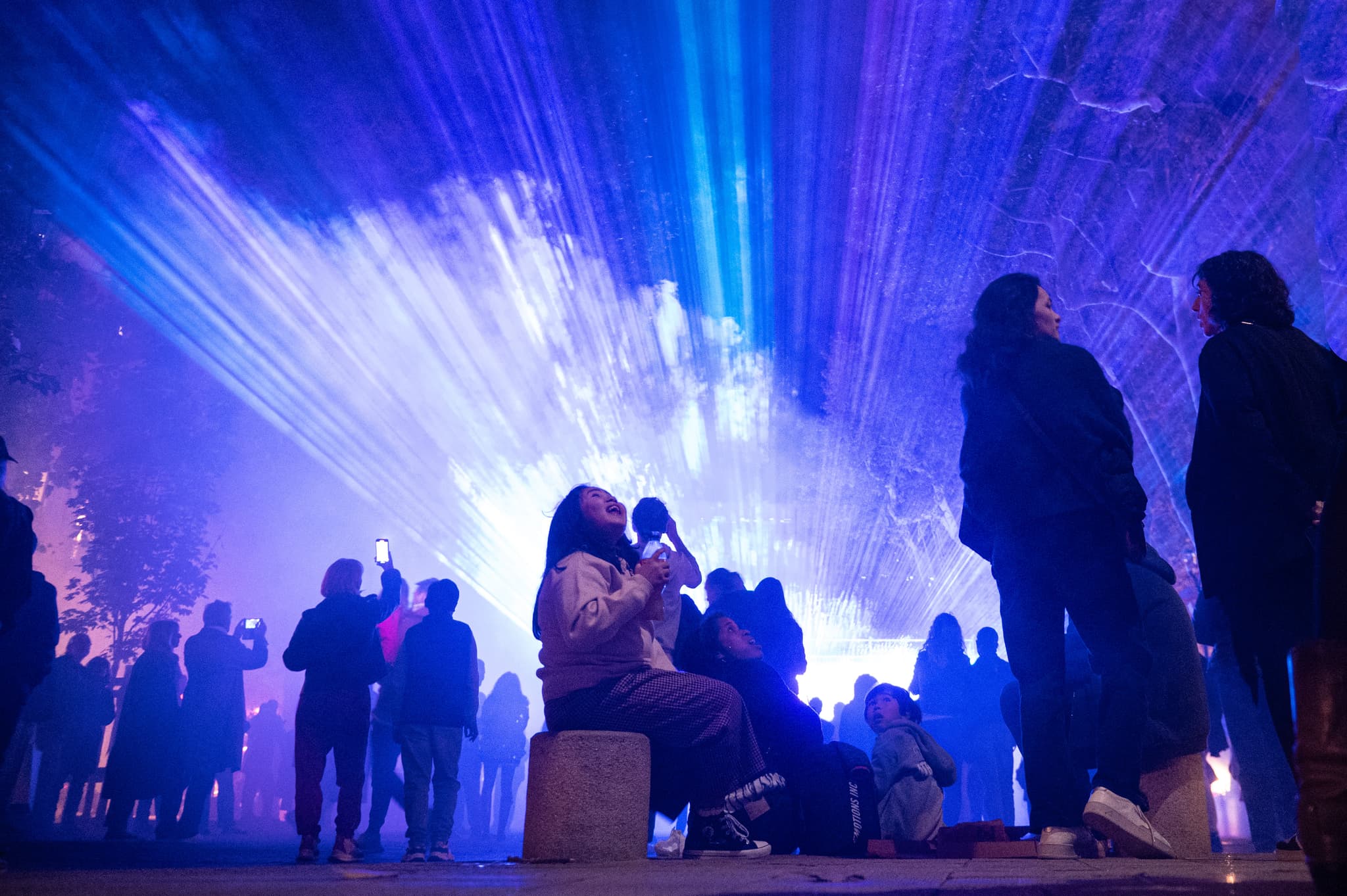 Biennale des Imaginaires Numériques 2024