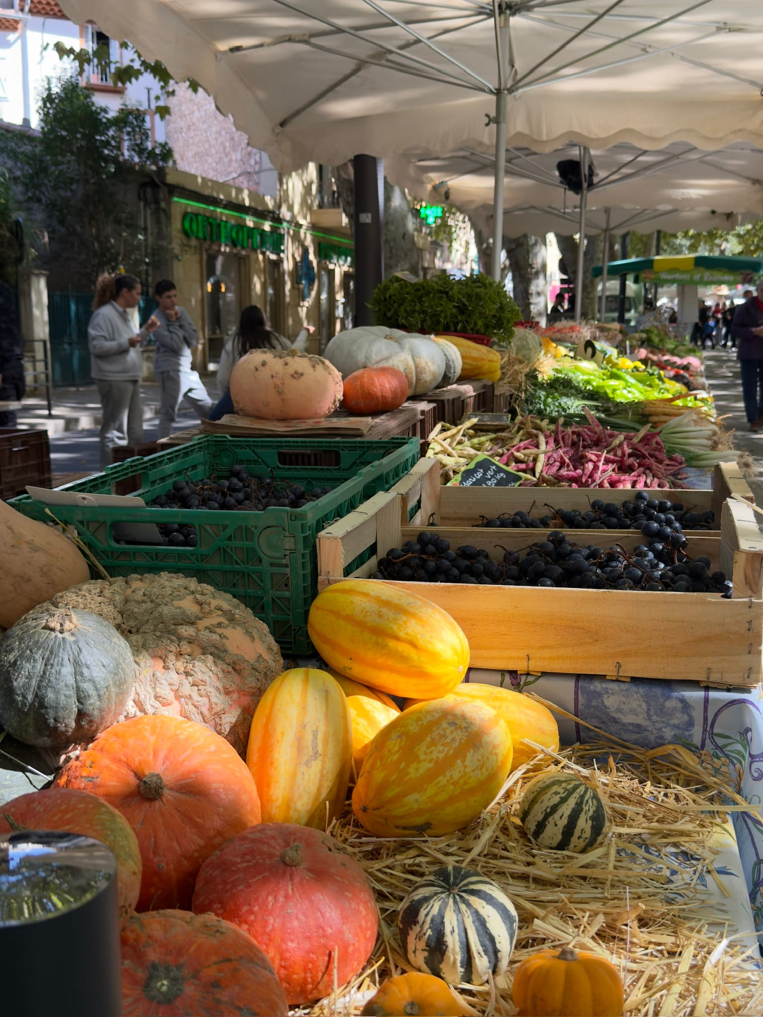 Foire agricole de la Saint-Michel_Gardanne