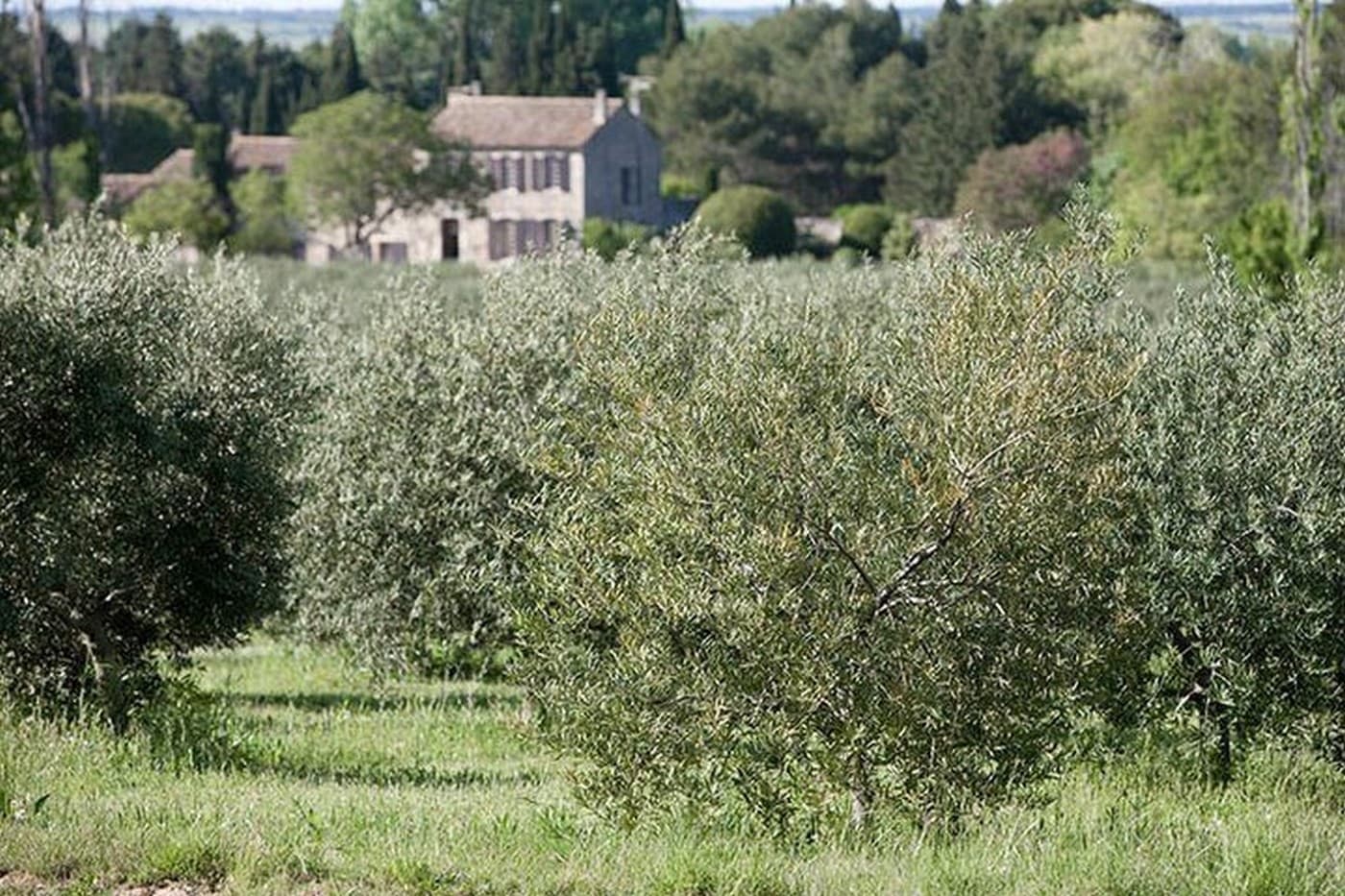 Domaine du Mourre de Viret