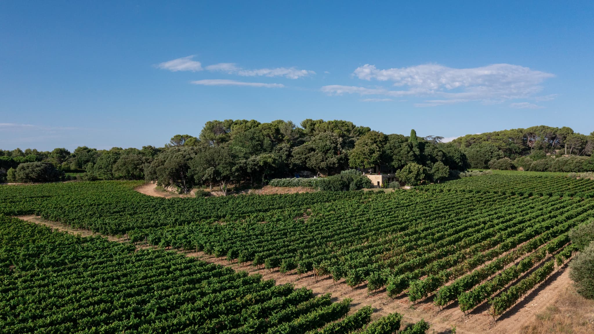 Domaine - Château Bonisson_Rognes