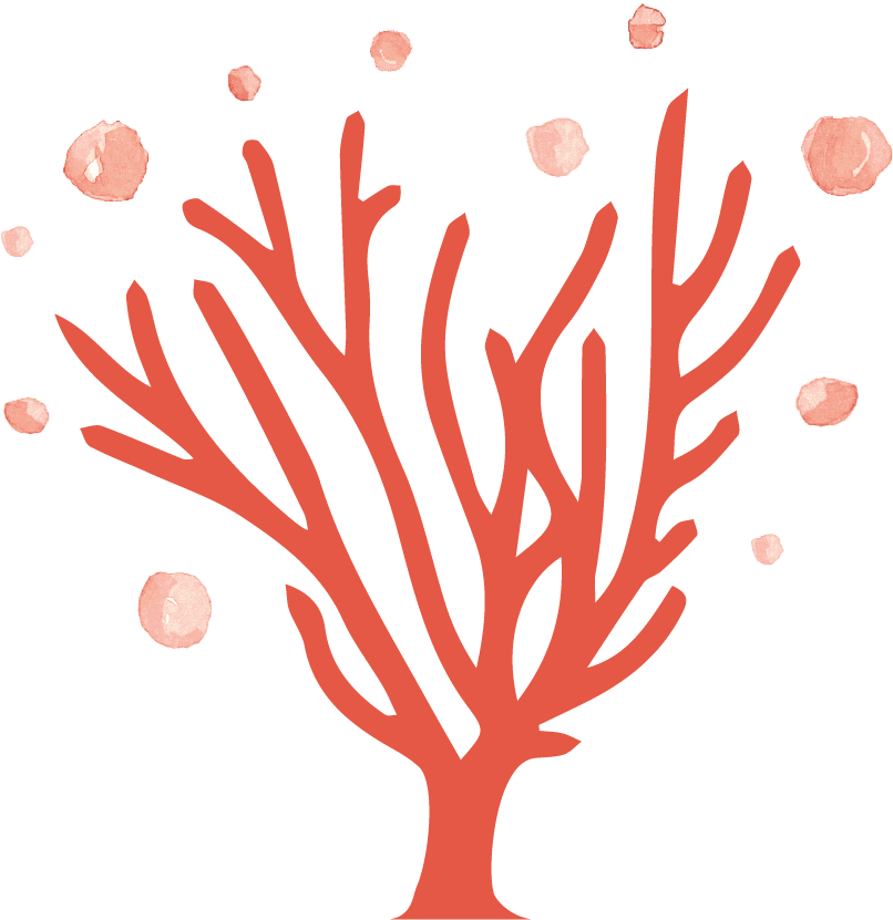 L'Atelier du Corail