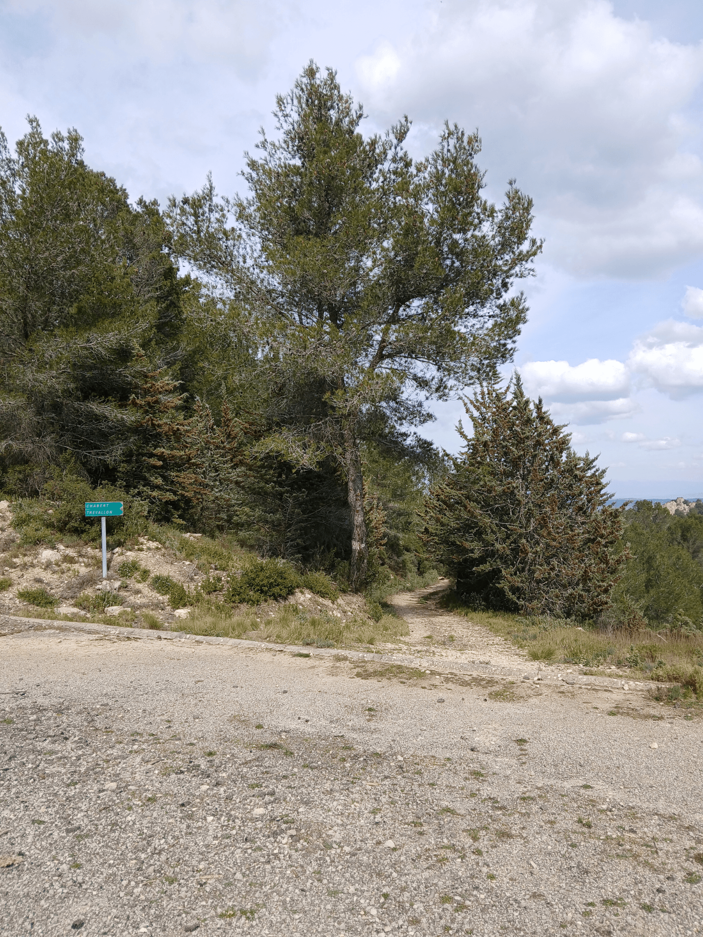 La Lèque_Saint-Rémy-de-Provence