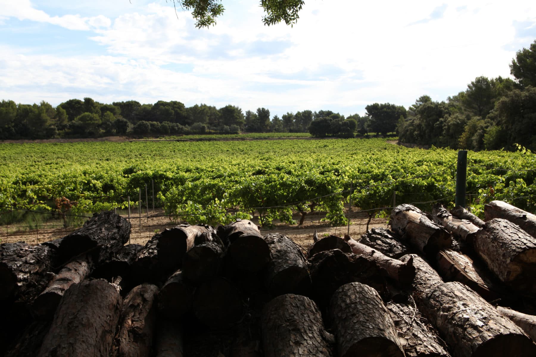 Domaine de Lunard