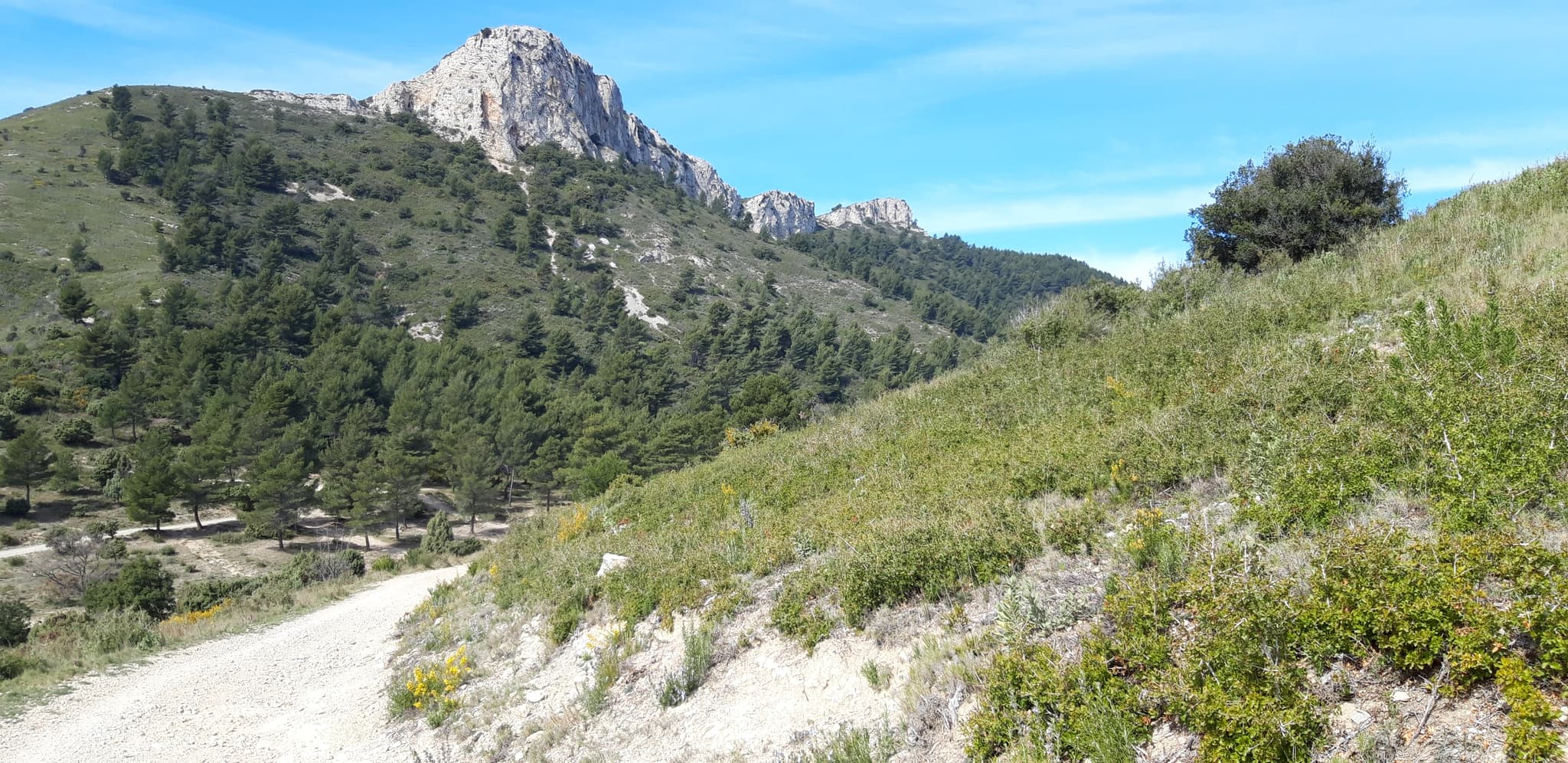 Mont Julien