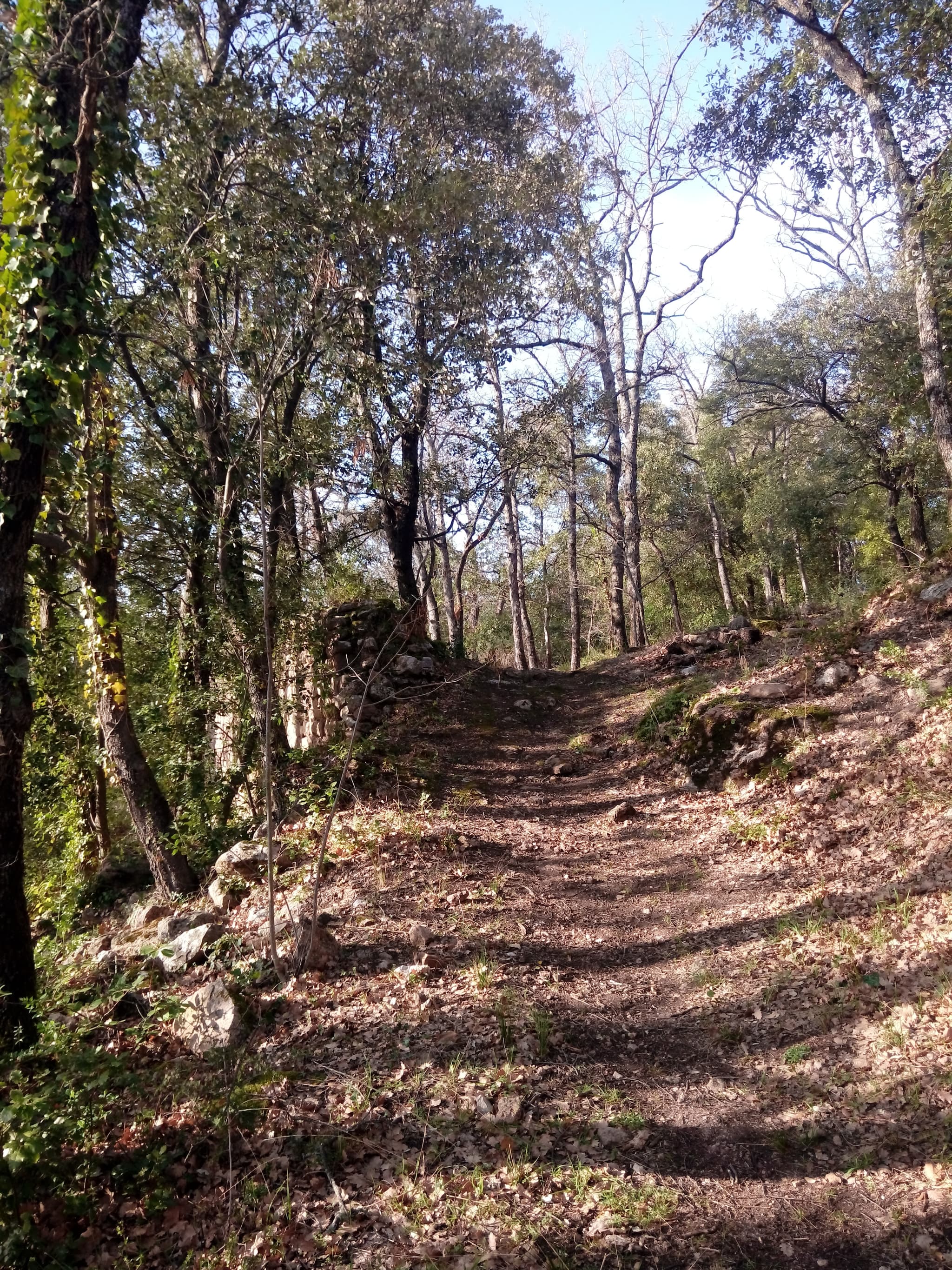 Randonnée "Le Castrum Saint-Michel"