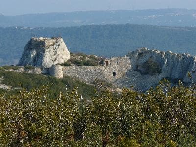13VIS001065_3_WEB.jpg
