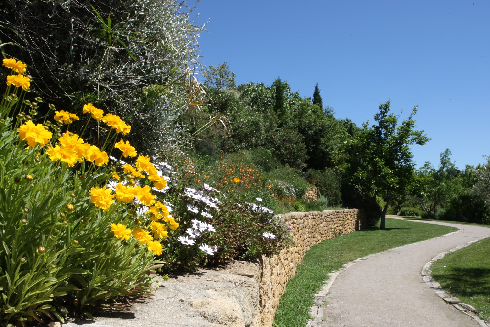 Jardin méditerranéen