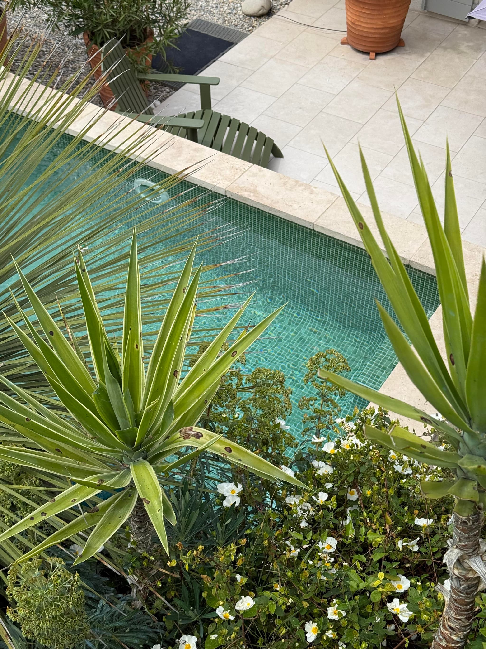 La piscine vue du jardin