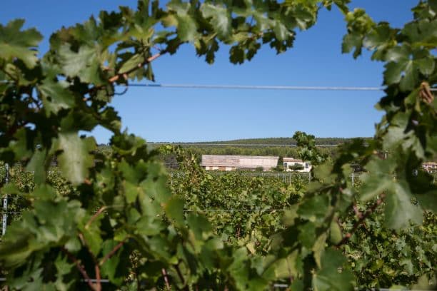 domaine