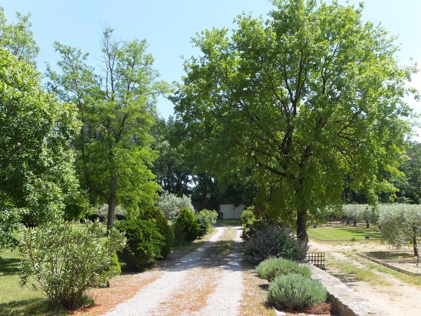 Le Clos Des Oliviers et la Tour