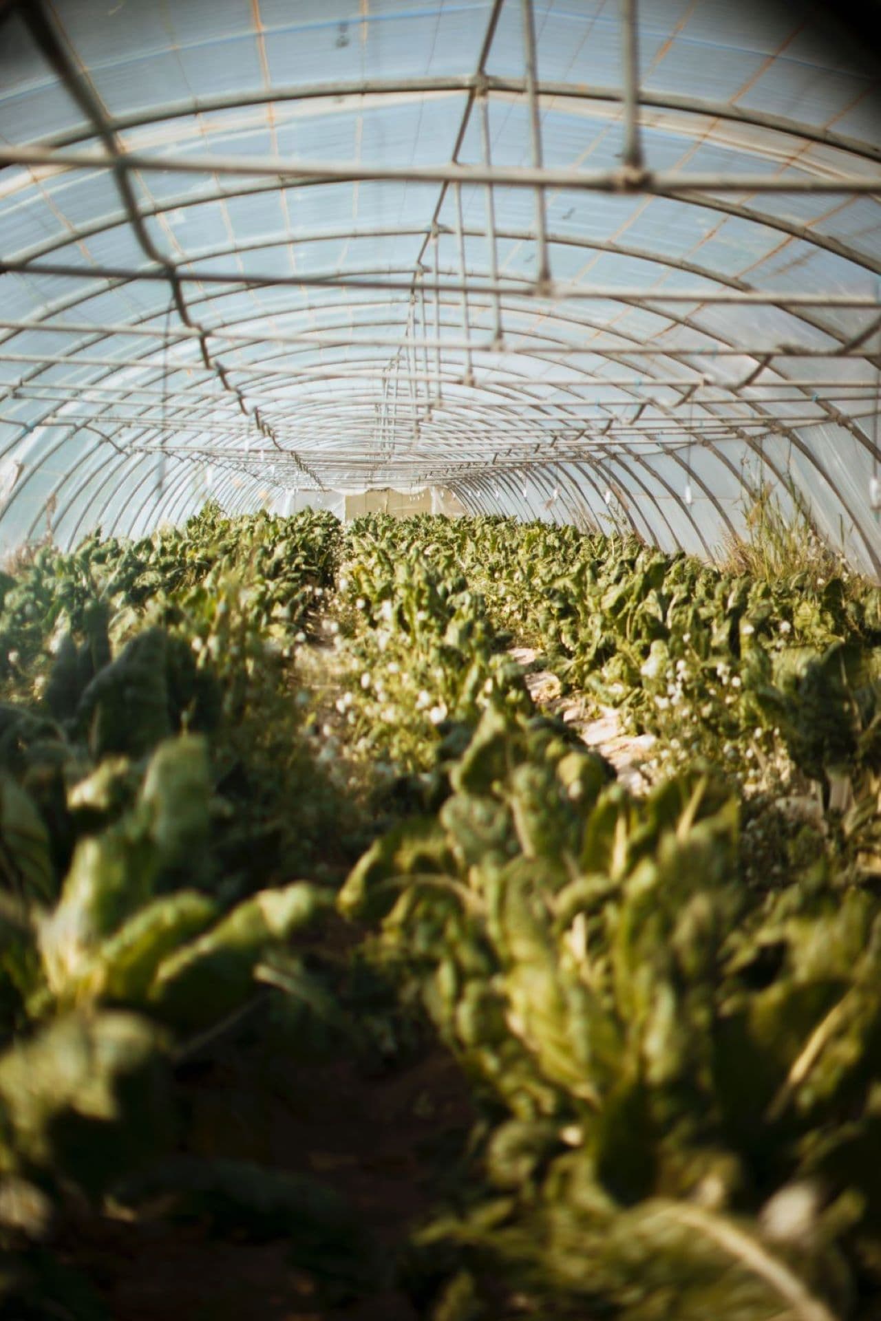 Ferme Auvrai
