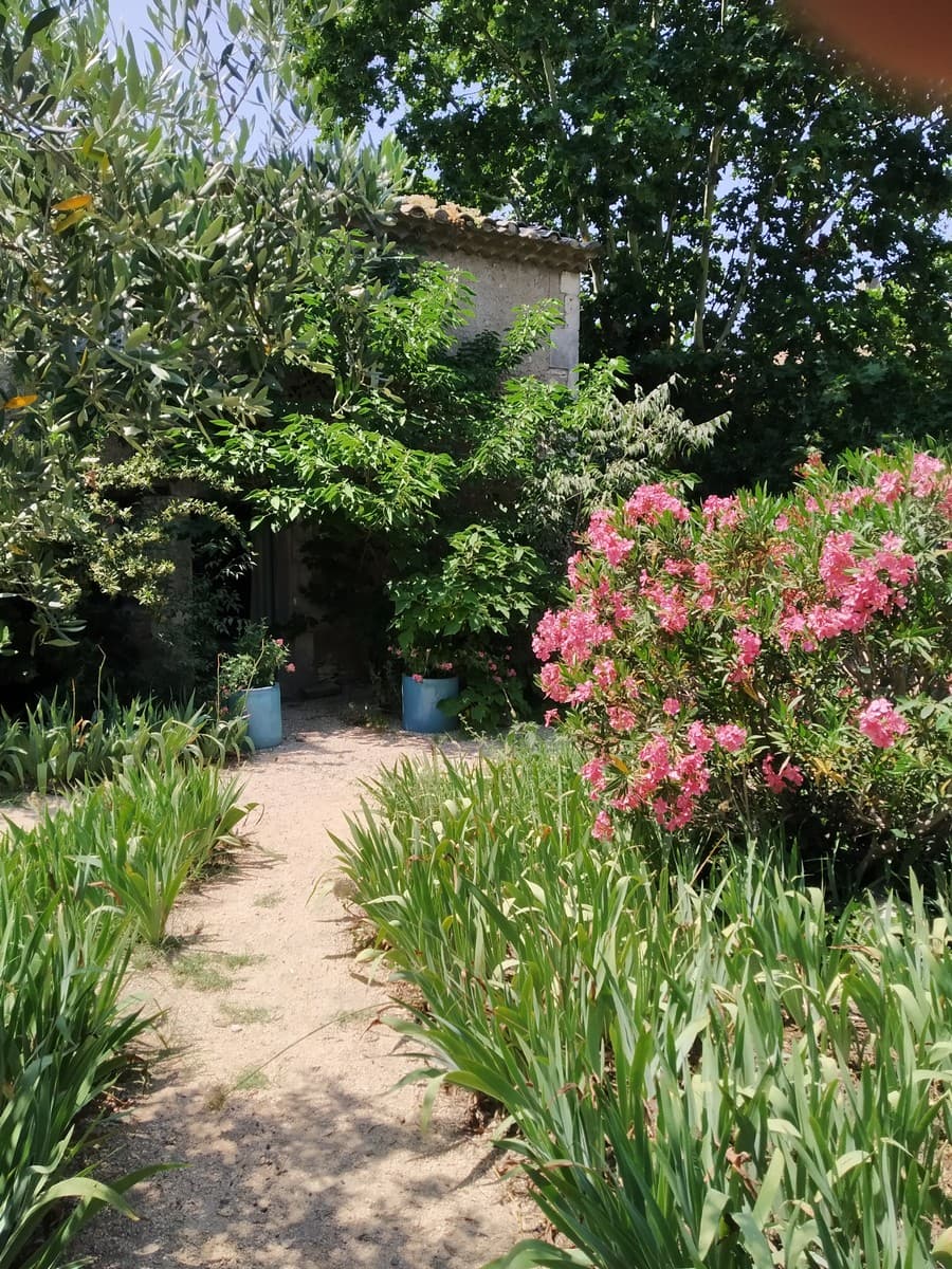 Location saisonnière Mas des 3 cyprès