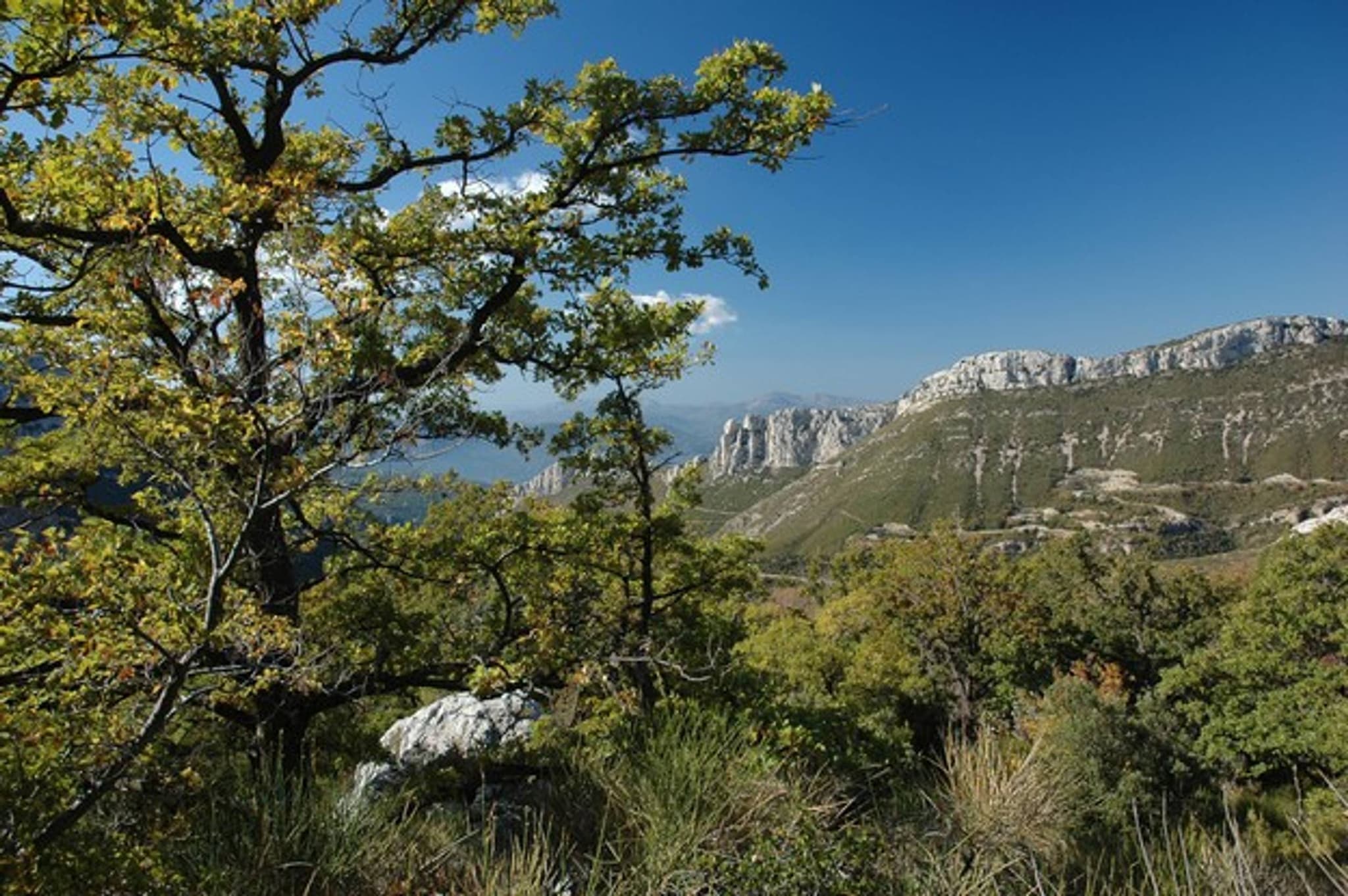 PLAN D'AUPS SAINTE-BAUME - Le col de Bertagne