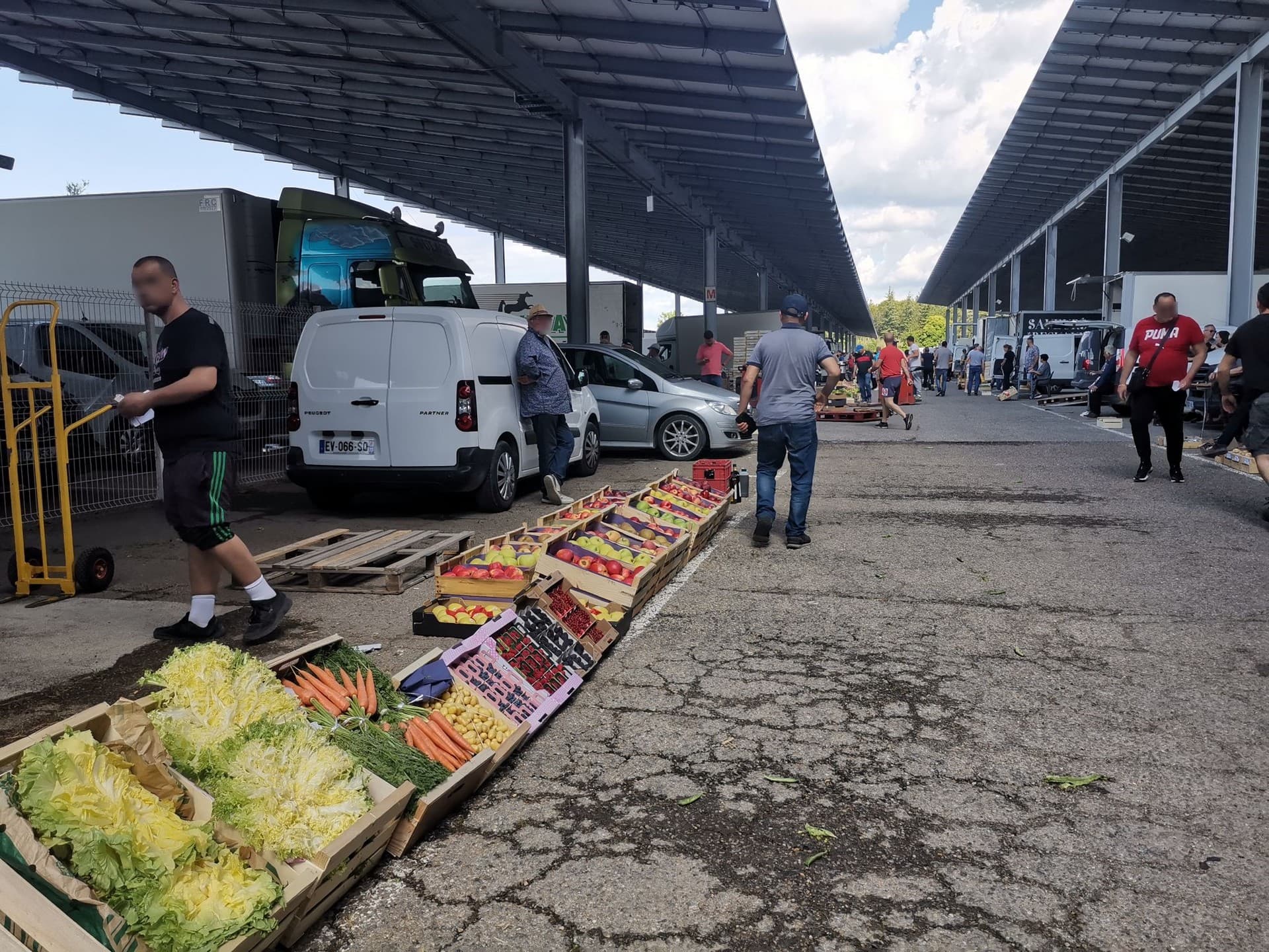 Marché Fruits & Légumes au gros St Etienne du Grès