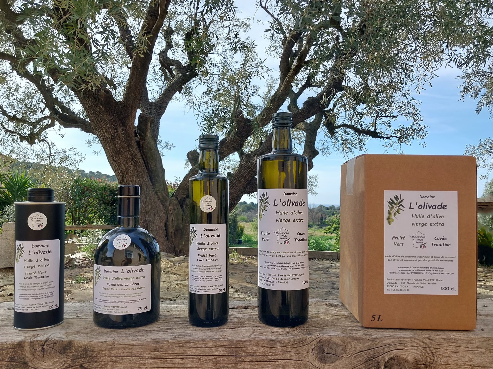 Domaine de L'OLIVADE